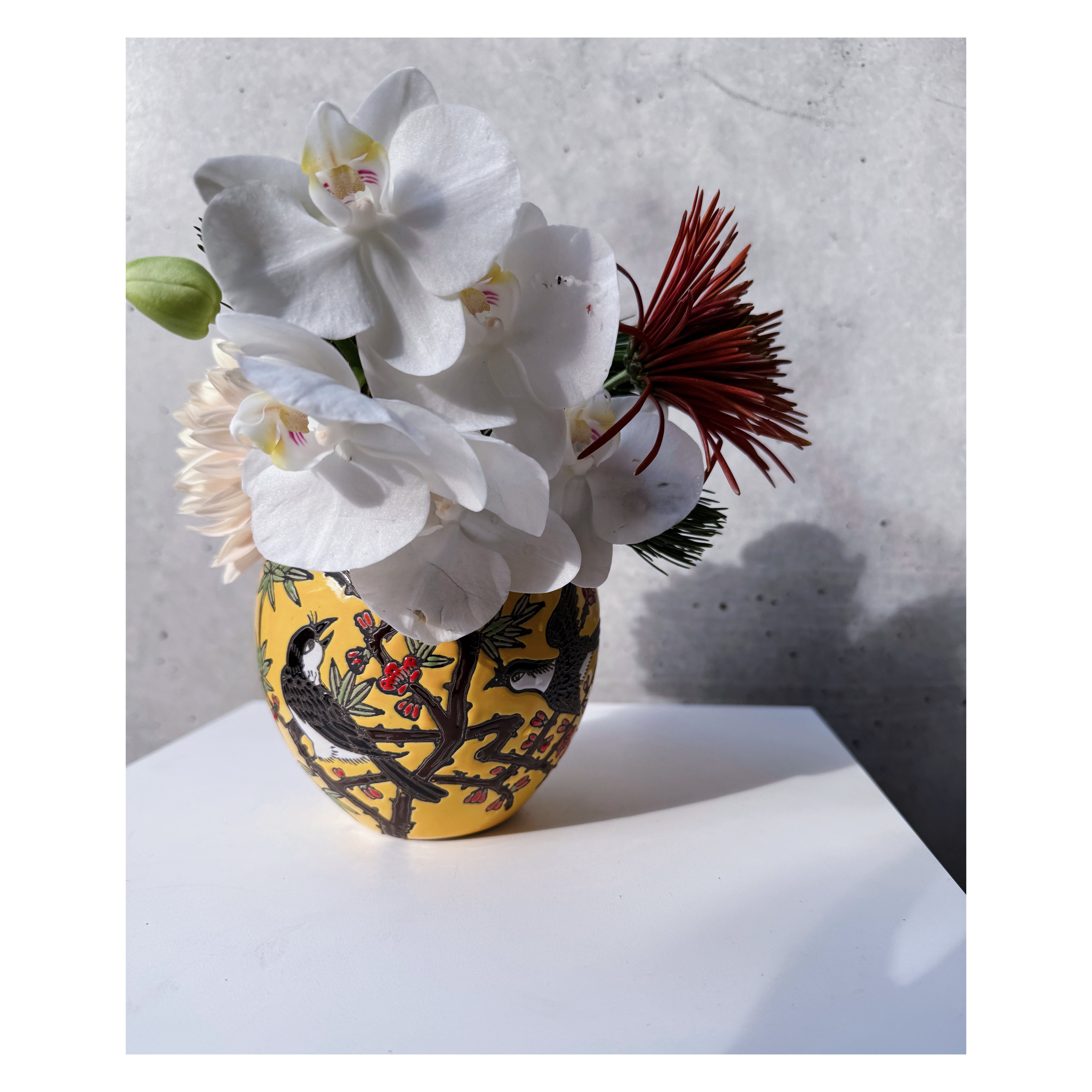 DESPOTS | shienflower