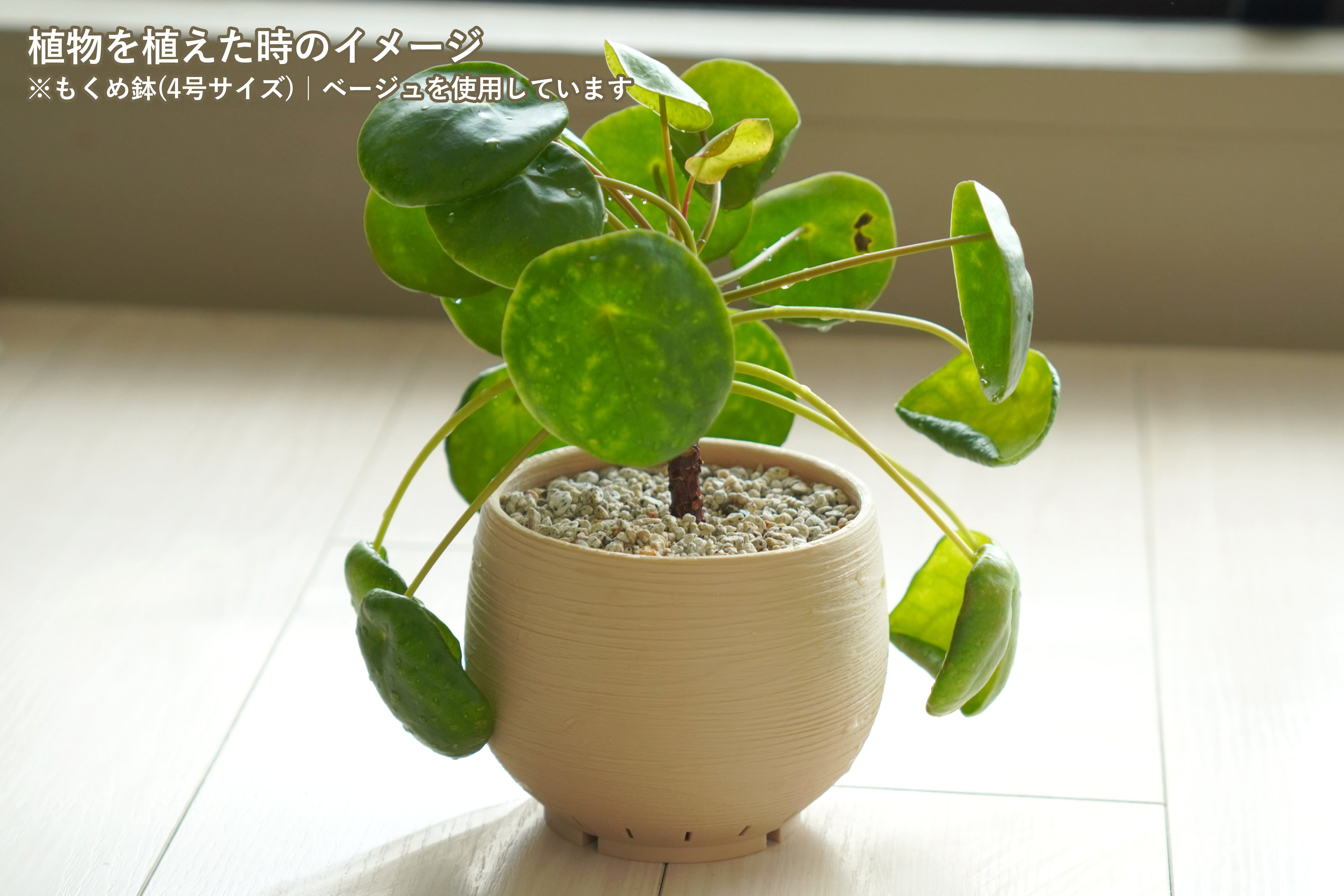 シンメトリカ 鉢3号サイズ 美株 もくめ鉢(3号サイズ)｜ホワイト | みどりのグリーンSHOP