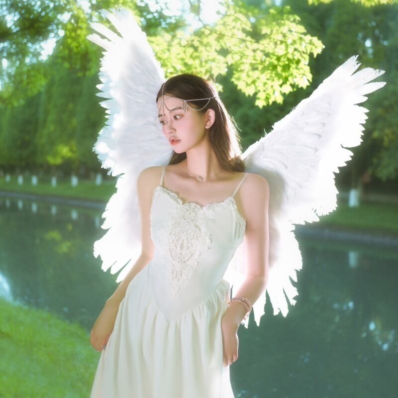 撮影用アイテム 大きな蝶々の翼 羽根 ☆創作やパロディのコスプレ等