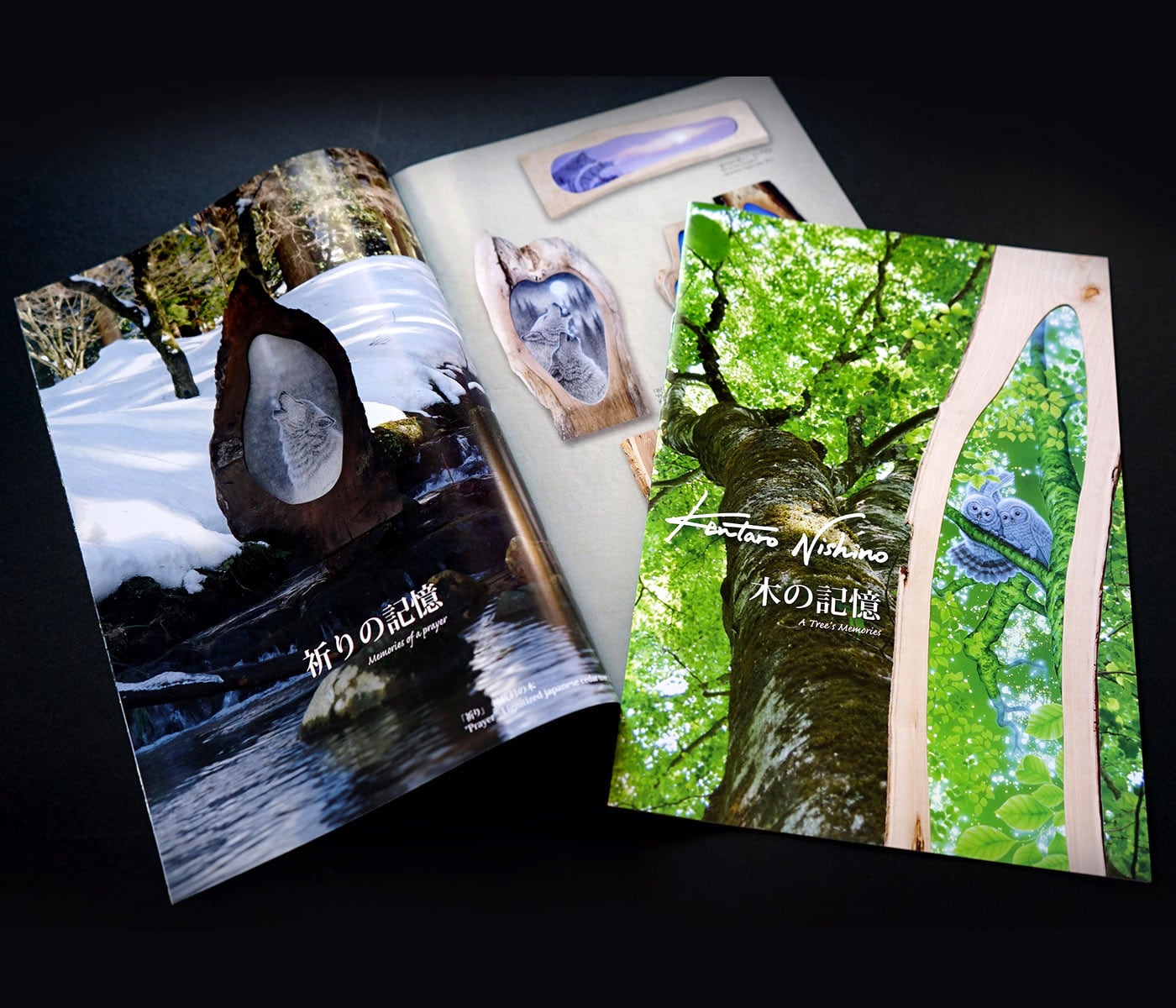 カタログ画集 | 西野健太郎アートショップ