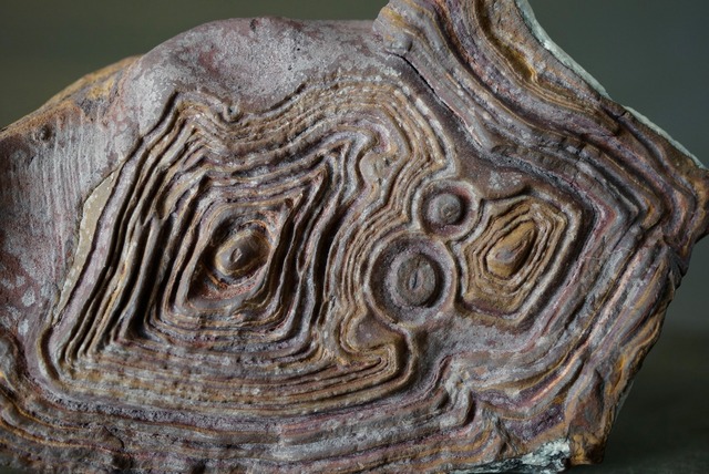 クムル産火山砕屑岩 Volcano-sedimentary Rock 1125