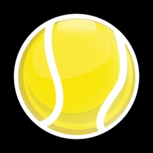 206番 ゴーバッジ SPORTS TENNISBALL