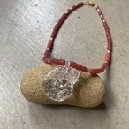 ammonite dream