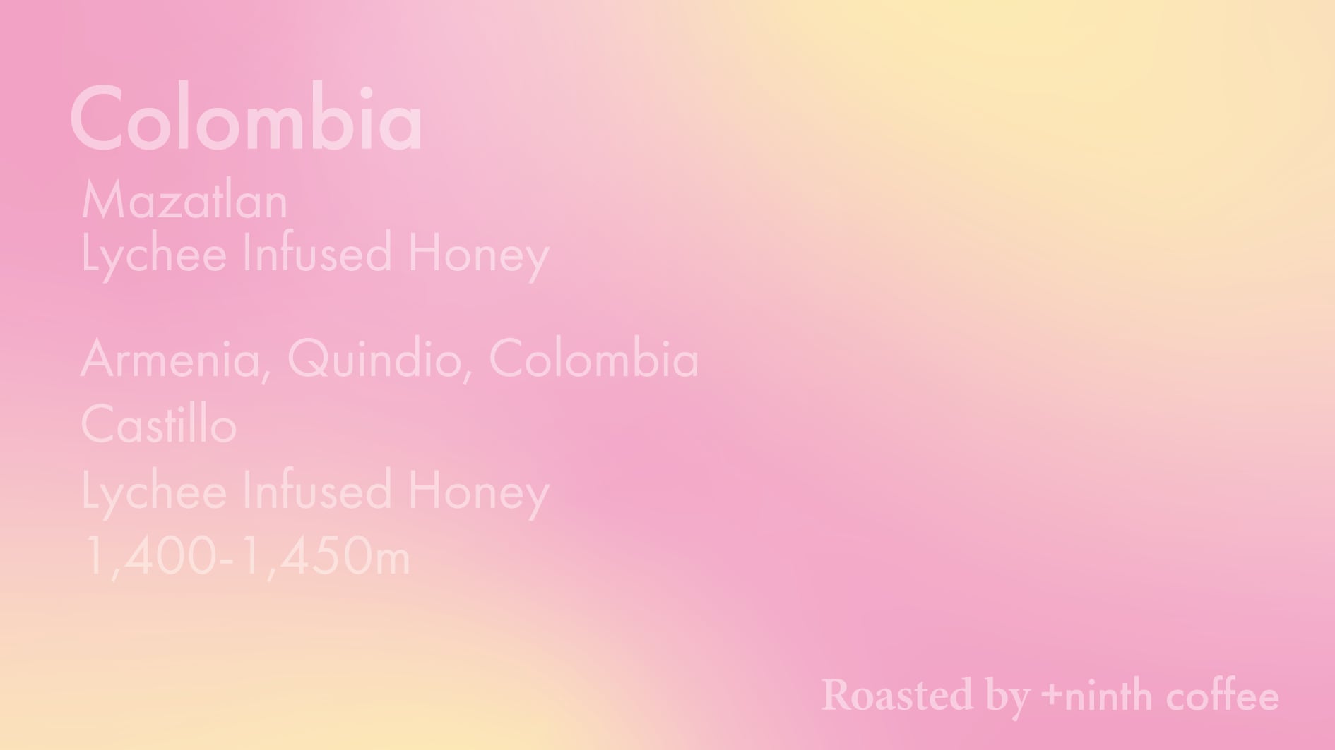 Colombia Mazatlan, Castillo - Lychee Infused Honey