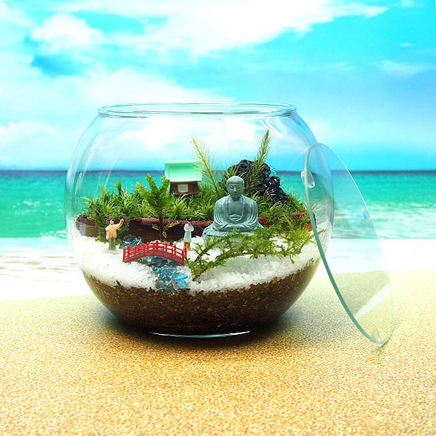 大仏様【苔テラリウム・手作りキット一式】 | 工房・津軽moss