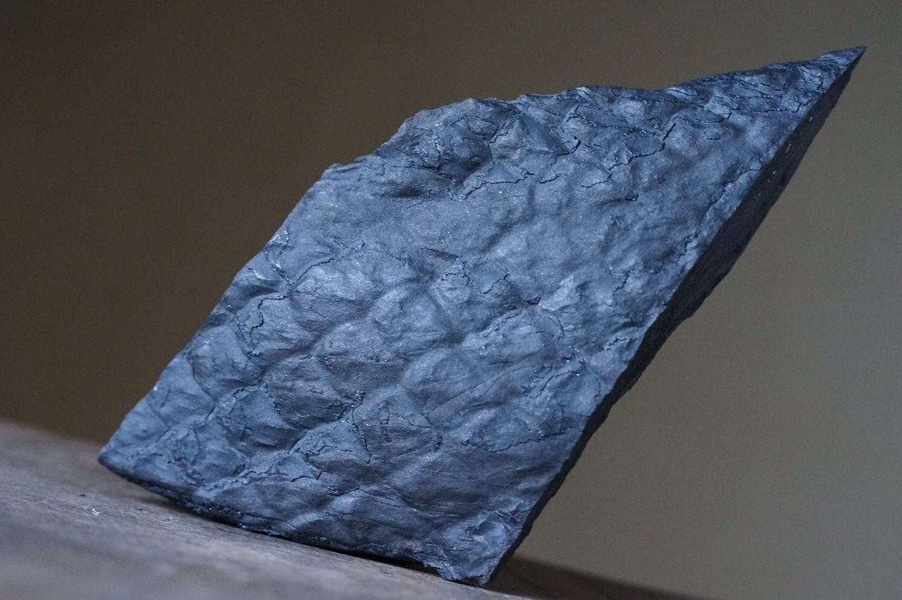 鱗木化石 Lepidodendron obovatum 1