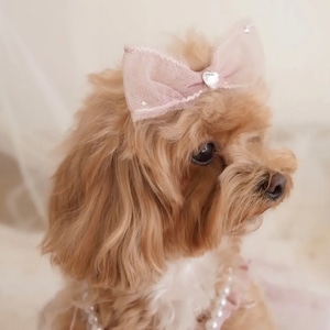 【専用BOX】mcrn 様