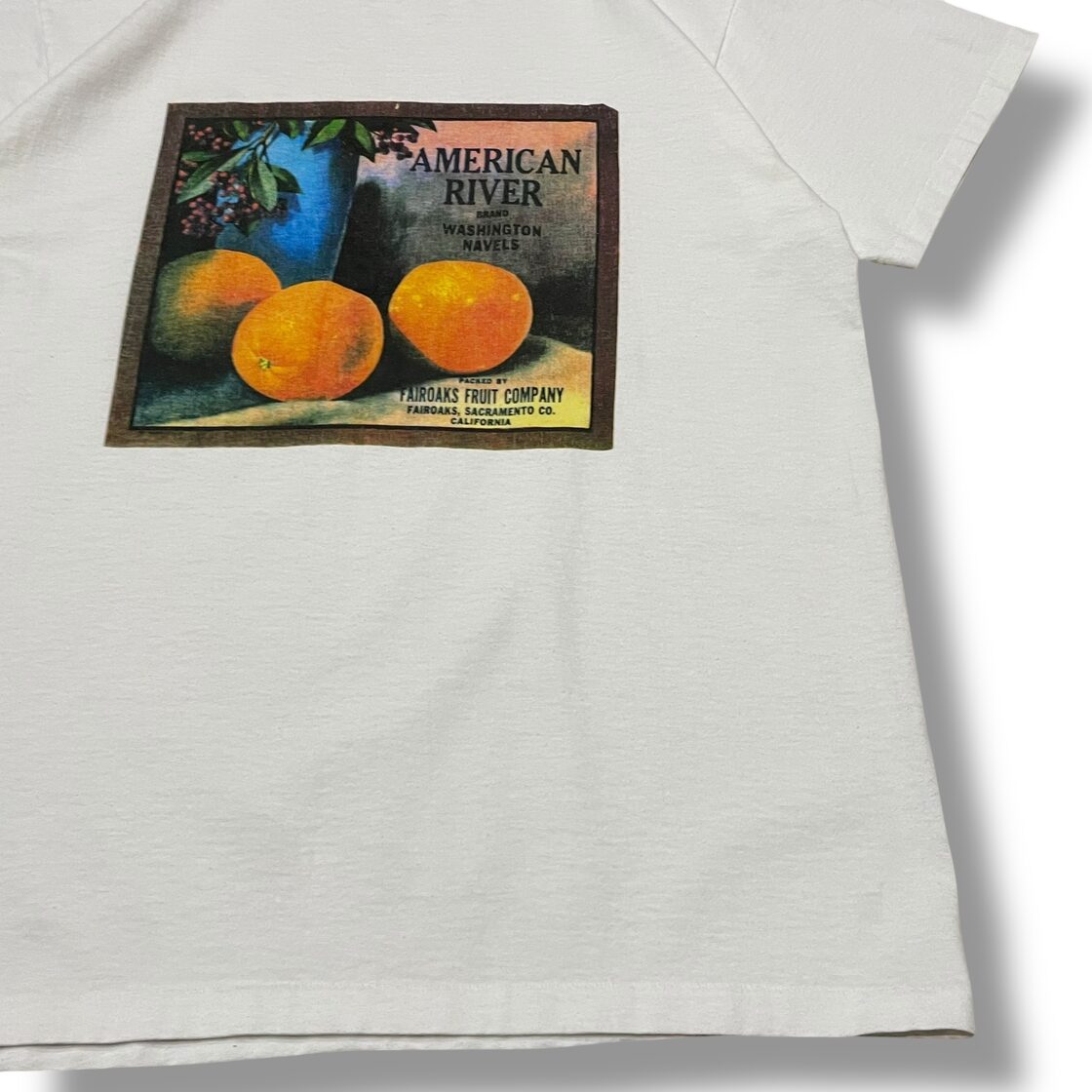 L】【90年代】【USA製】 AMERICAN RIVER プリントTシャツ 半袖Tシャツ 