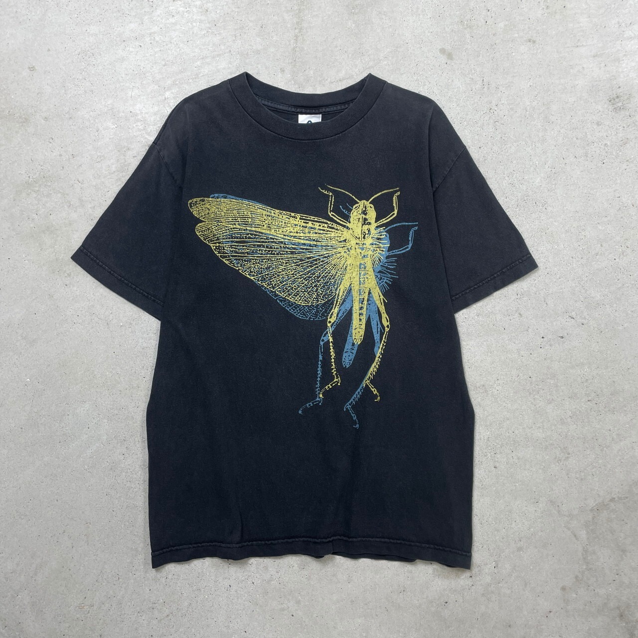 00年代 THE LOCUST バンドTシャツ バンT メンズM 古着 00s Y2K 