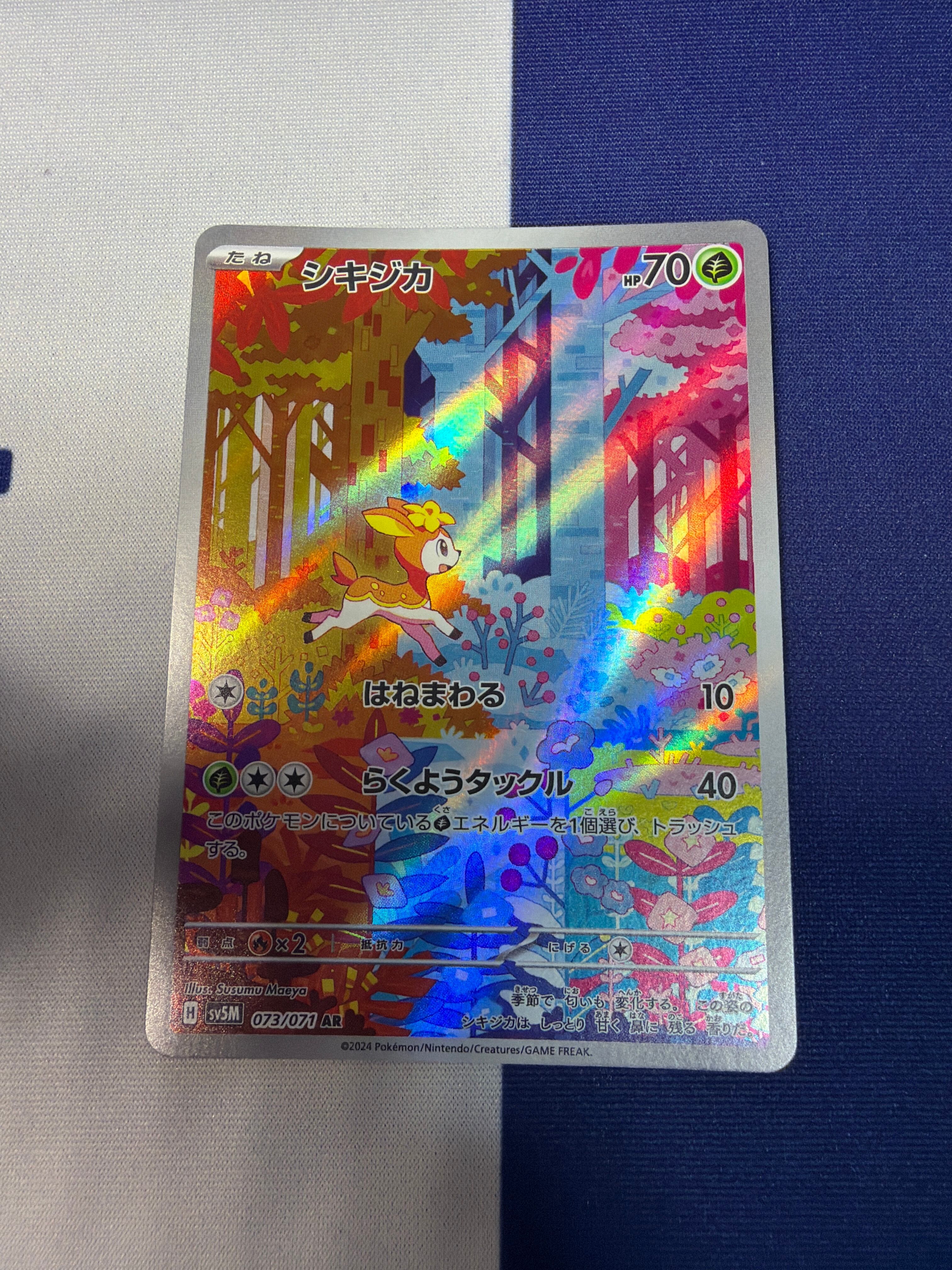 Bランク】シキジカ sv5M 073/071 AR サイバージャッジ ポケモンカード