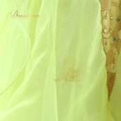 社交ダンス 衣装 スタンダードドレス ワンピース ドレス グリーン系 イエロー系 黄緑 黄色 蛍光 フロート レース フリル デモ 競技 ダンス パーティ 発表会 華やか 明るい色 衣装 発表会用