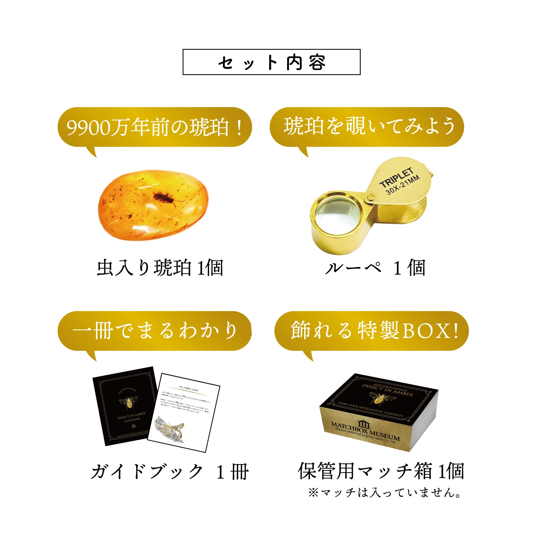 マッチ箱博物館 虫入りコハクのコレクション（完全版） | MNH STORE