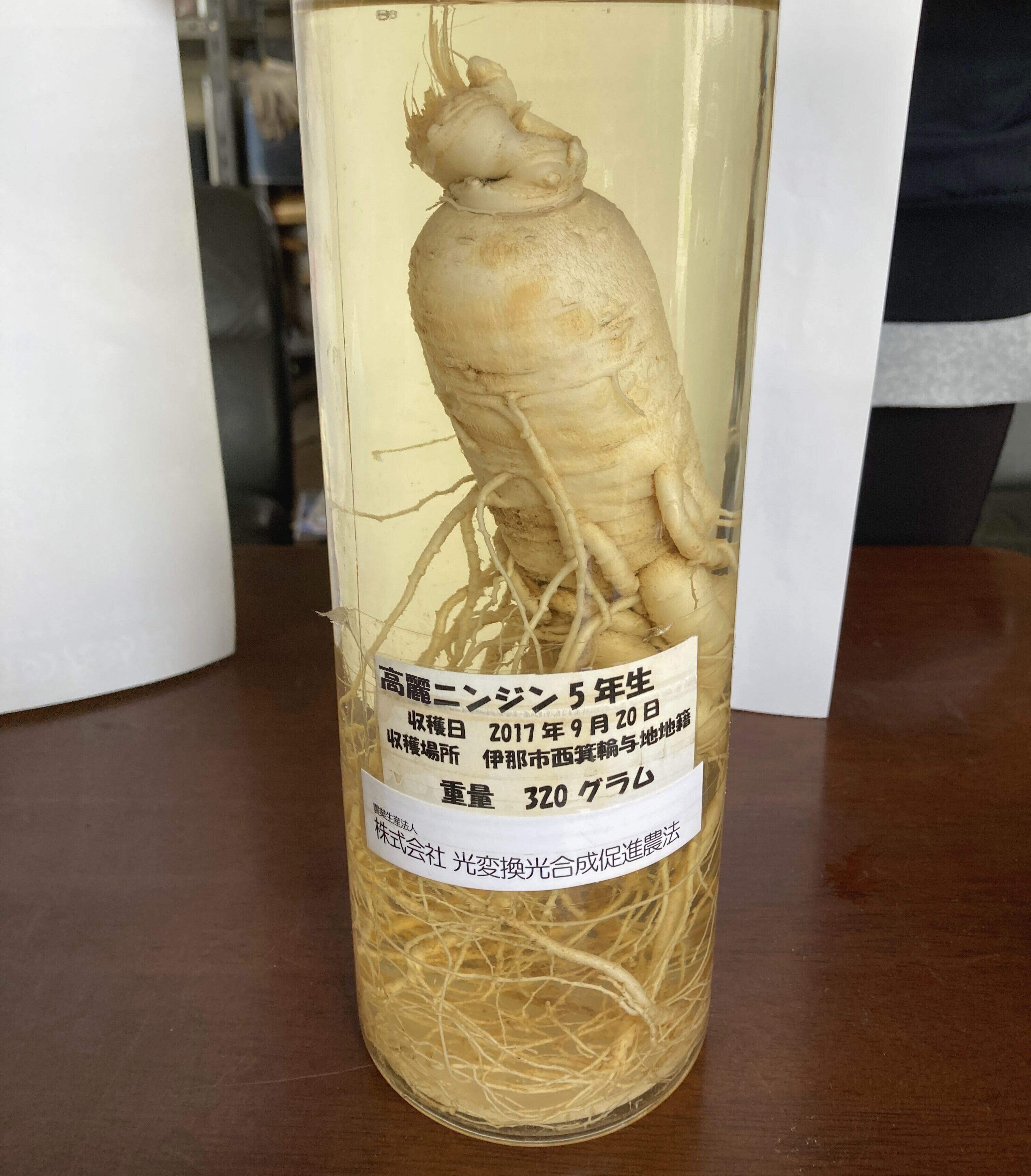 アイコナ 長野県産高麗人参100％粉末 1箱（30袋入り） | icona