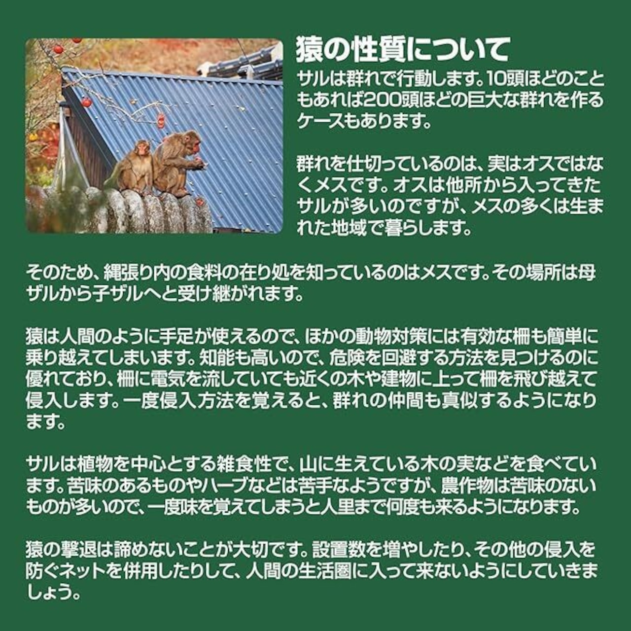 撃退サル強力タイプ100個入 忌避剤を２倍に増量した激臭タイプ！ 猿対策 サルよけ