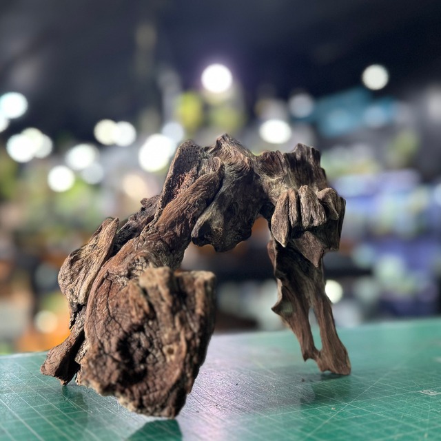 一点物デザイン流木 | ヒロセペット成田空港店