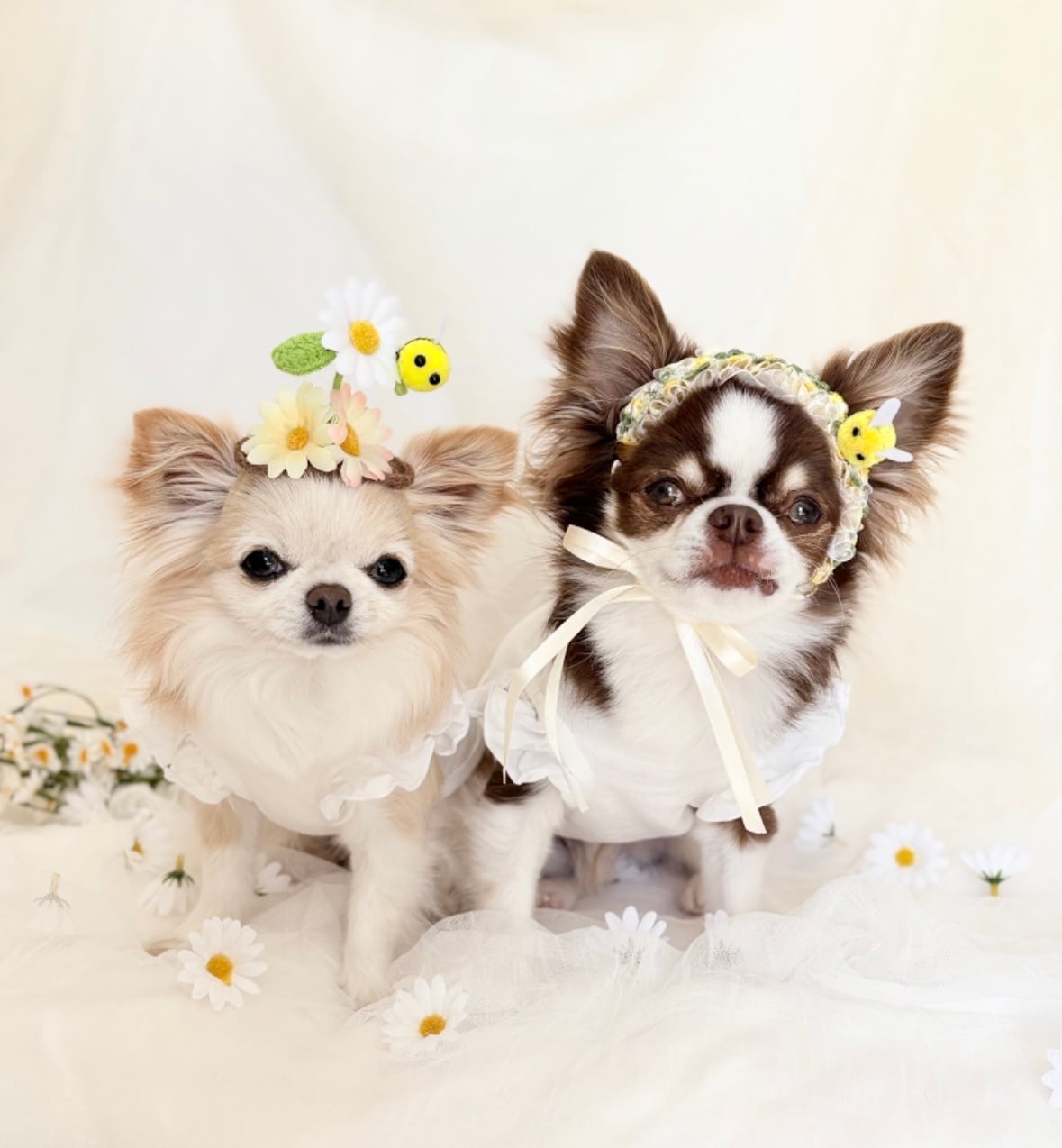 春のはちさんヘットドレス　ホワイト・イエローbr