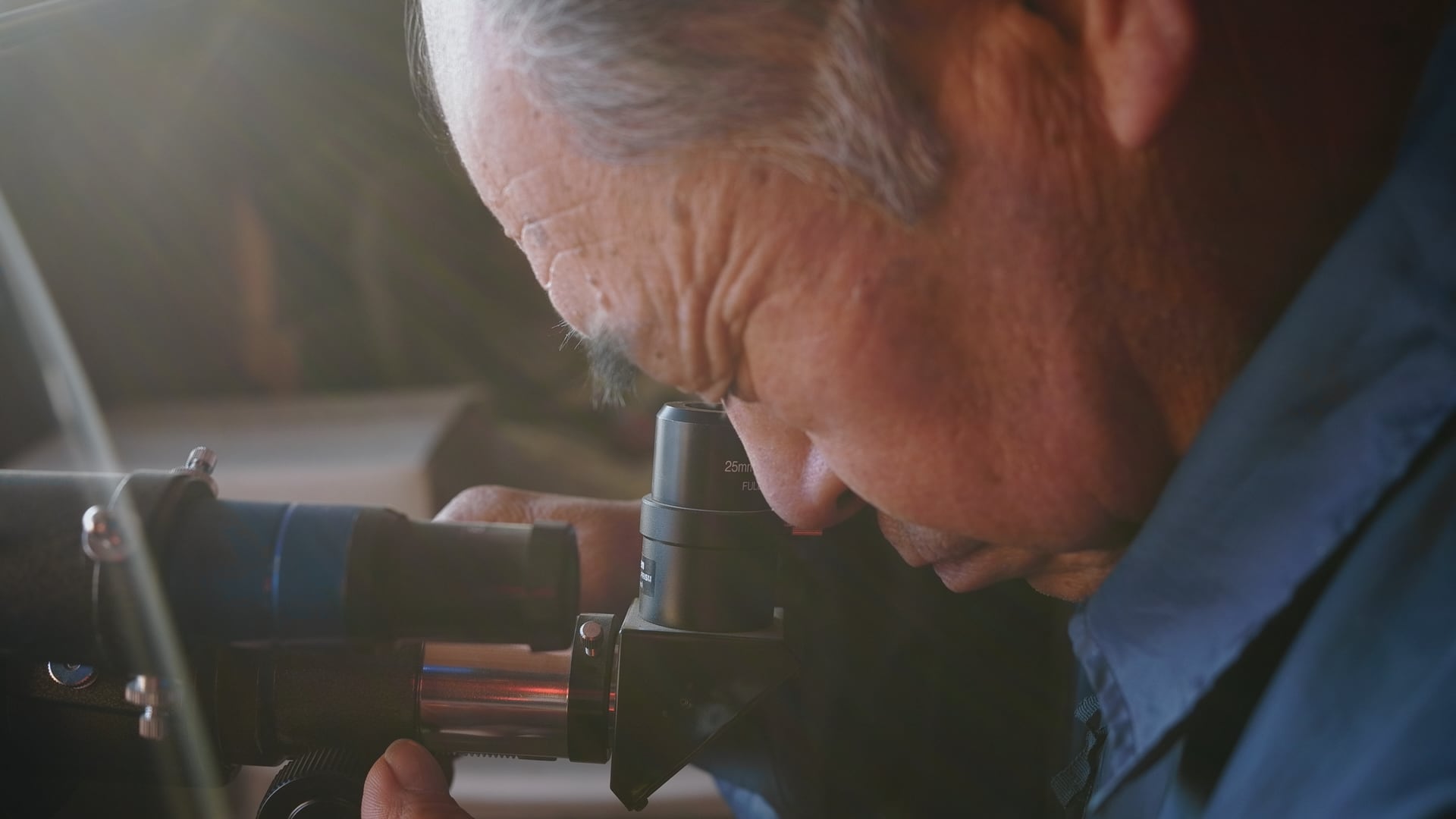 映画『Shari』Blu-ray 特装版 | WHITE LEOTARDS