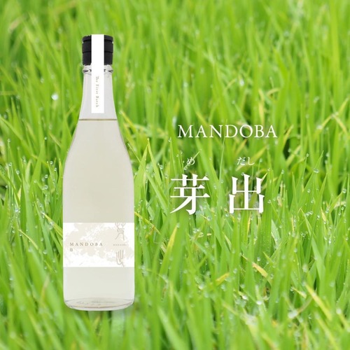 MANDOBA（マンドバ）芽出（めだし）生酒　720ml