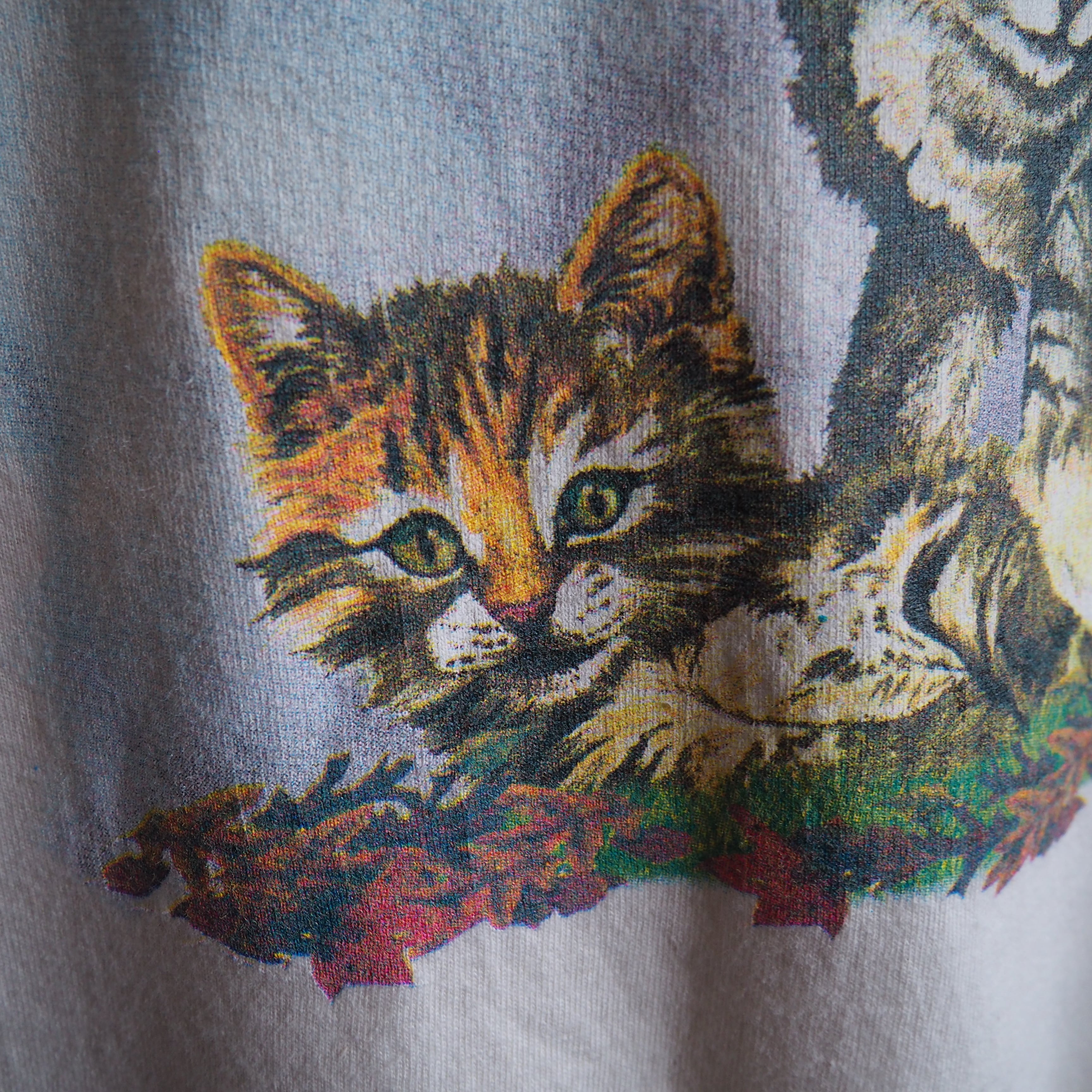 Pretty kittens printed loose silhouette SS Tee