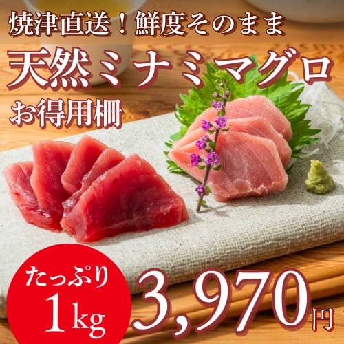 【大トロあるかも?!】天然ミナミマグロ 不定形柵(1000g)