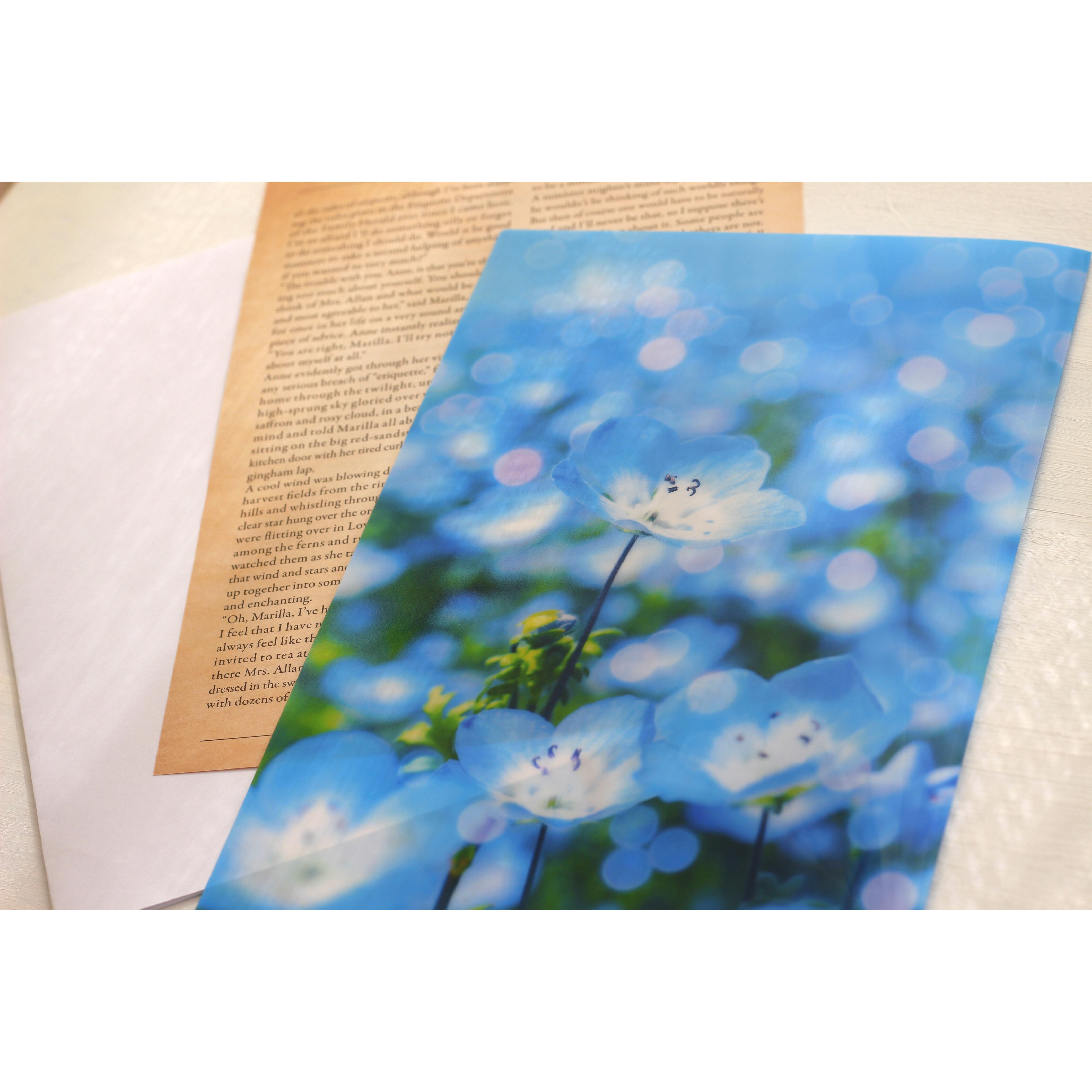A5サイズ クリアファイル「Nemophila」*訓子kunko* | 訓子kunko