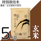 新米 令和8年産 登米産 だて正夢 玄米 5kg 農薬・化学肥料不使用栽培米