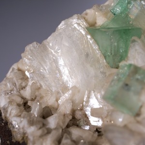 グリーン アポフィライト / 原石 標本