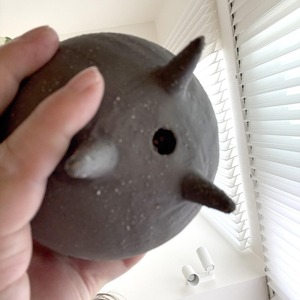 ポトス・エンジョイ