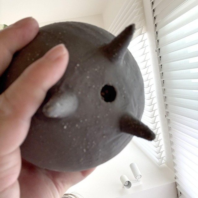 ポトス・エンジョイ