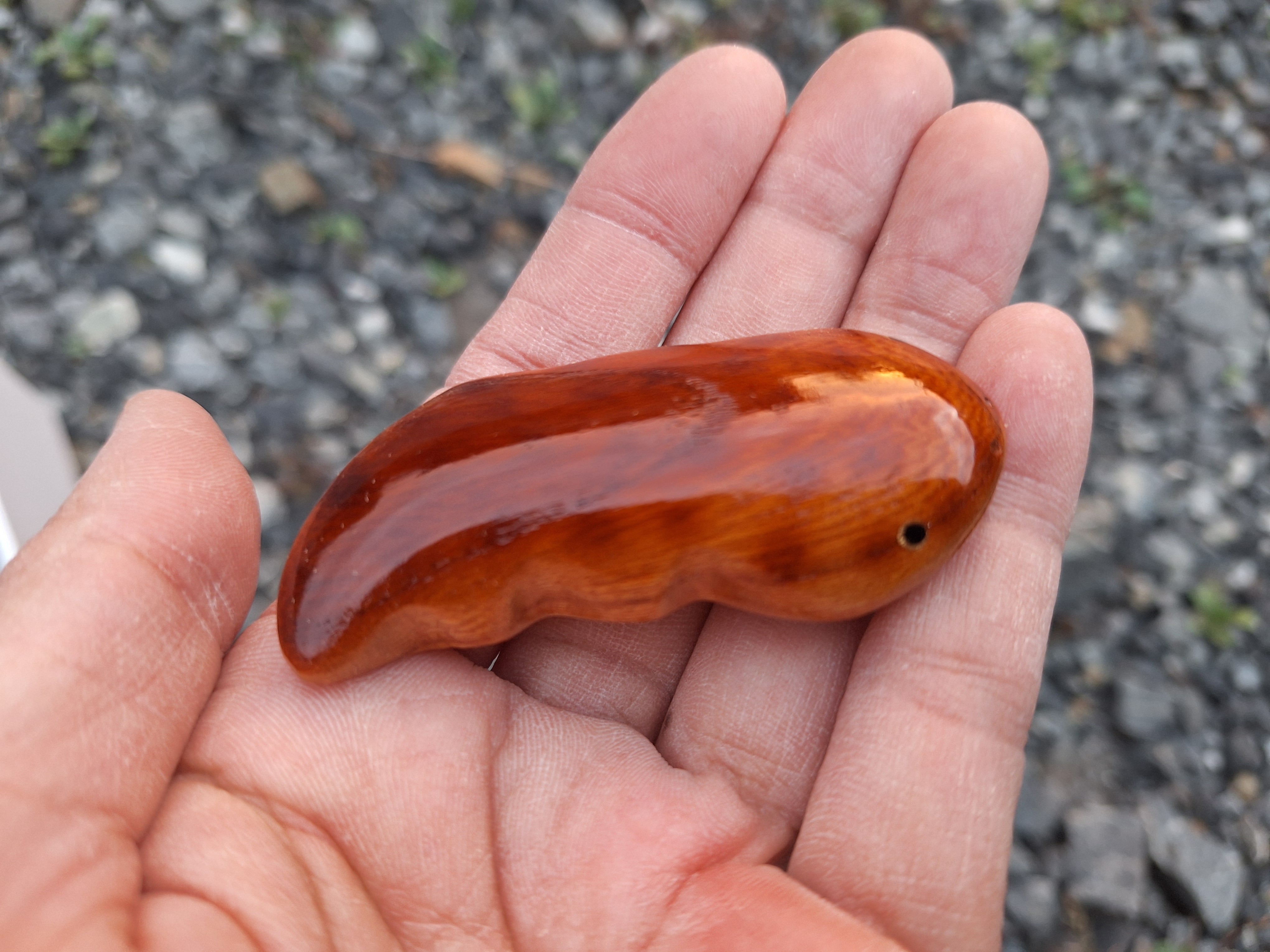 オオサンショウウオのブローチ brooch アクセサリー | 工房西岡