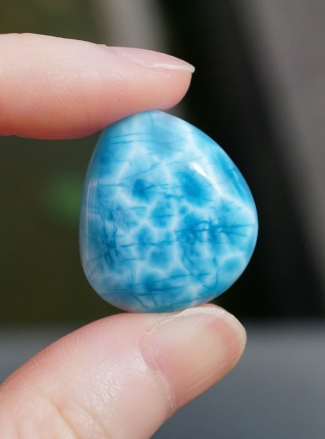 こ*り様 プレミアム【新種】限定14個入荷ドラゴンクローラリマーML-11 プレミアム【新種】限定14個入荷ドラゴンクローラリマーML-11 【公式通販】