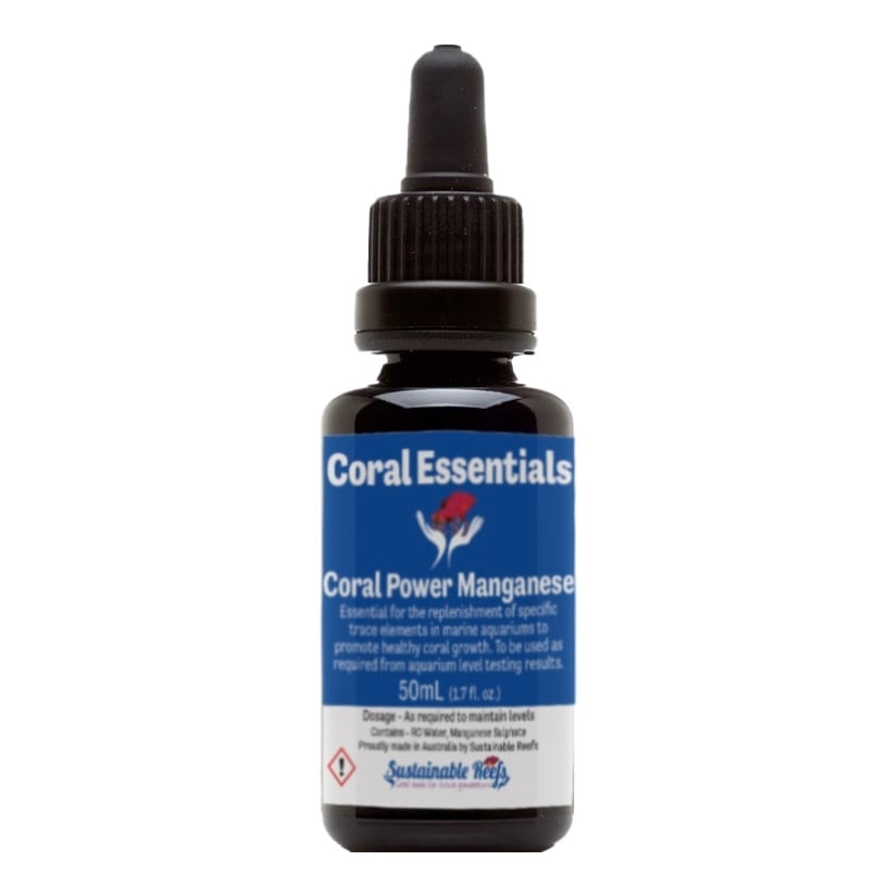 天然ライブロック Sグレード 1kg | HOUSE REEF(ハウスリーフ)サンゴ