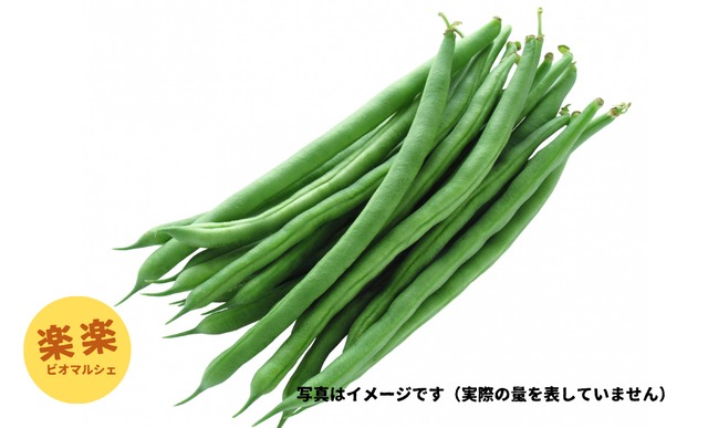サヤインゲン