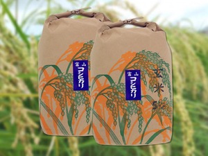 こしひかり玄米「5kg」×2袋 【コシヒカリ・とやまのお米・富山県産・おいしいお米】