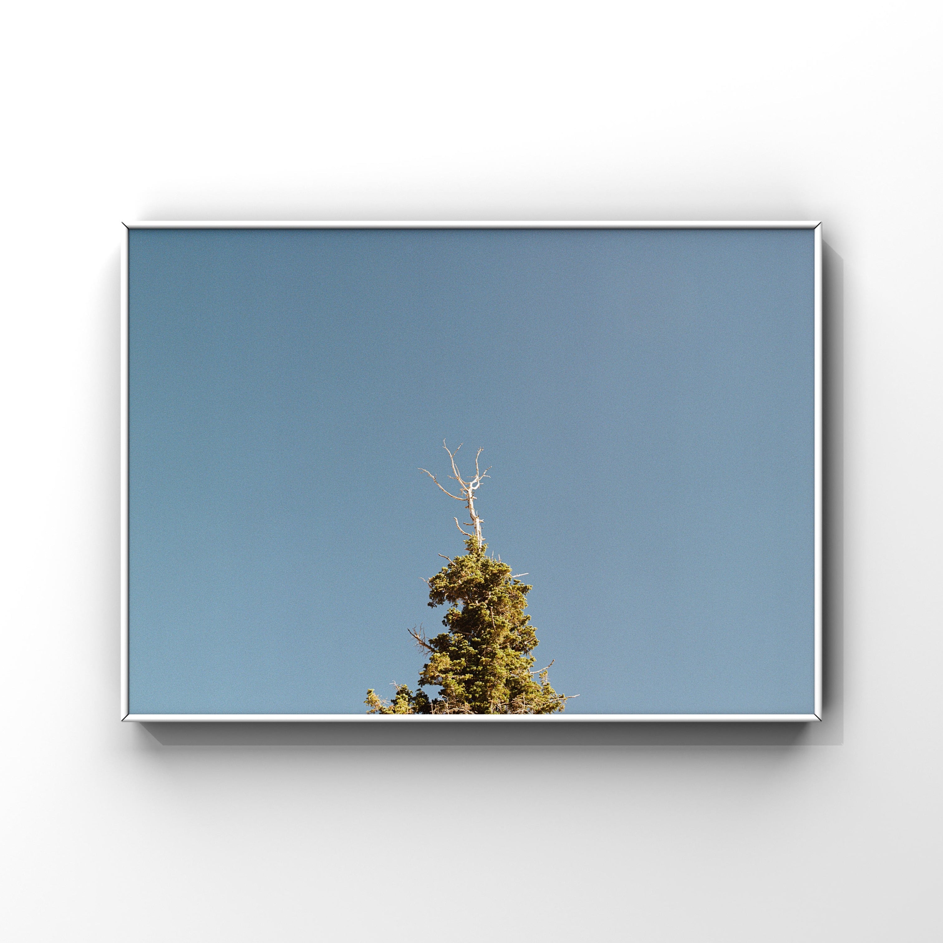 Jun Ishibashi Online Store