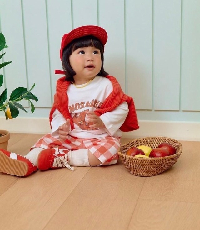 〚予約〛 Robot dinosaur setup <kids>