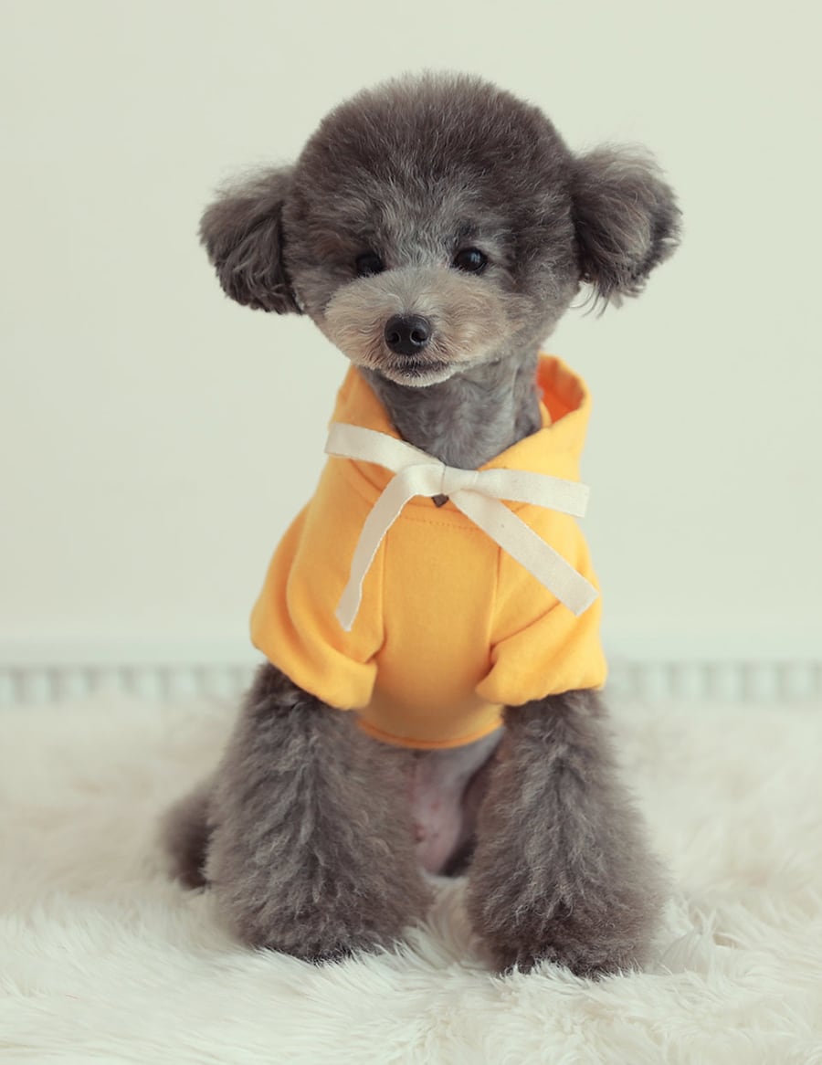 nagrang crop hood S ～ XL 4color / 犬服 秋冬 ショート丈 パーカー フード おパンツカット 無地 シンプル ドッグウェア 小型犬 中型犬 お揃い お出かけ 韓国ワンコ服
