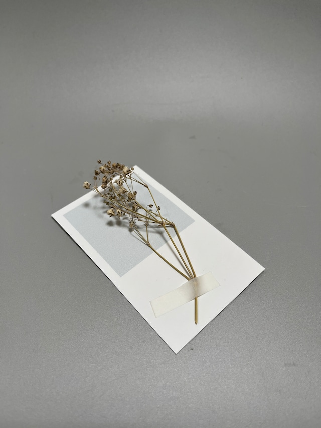 PaloSanto with botanical　パロサント with ハーブ