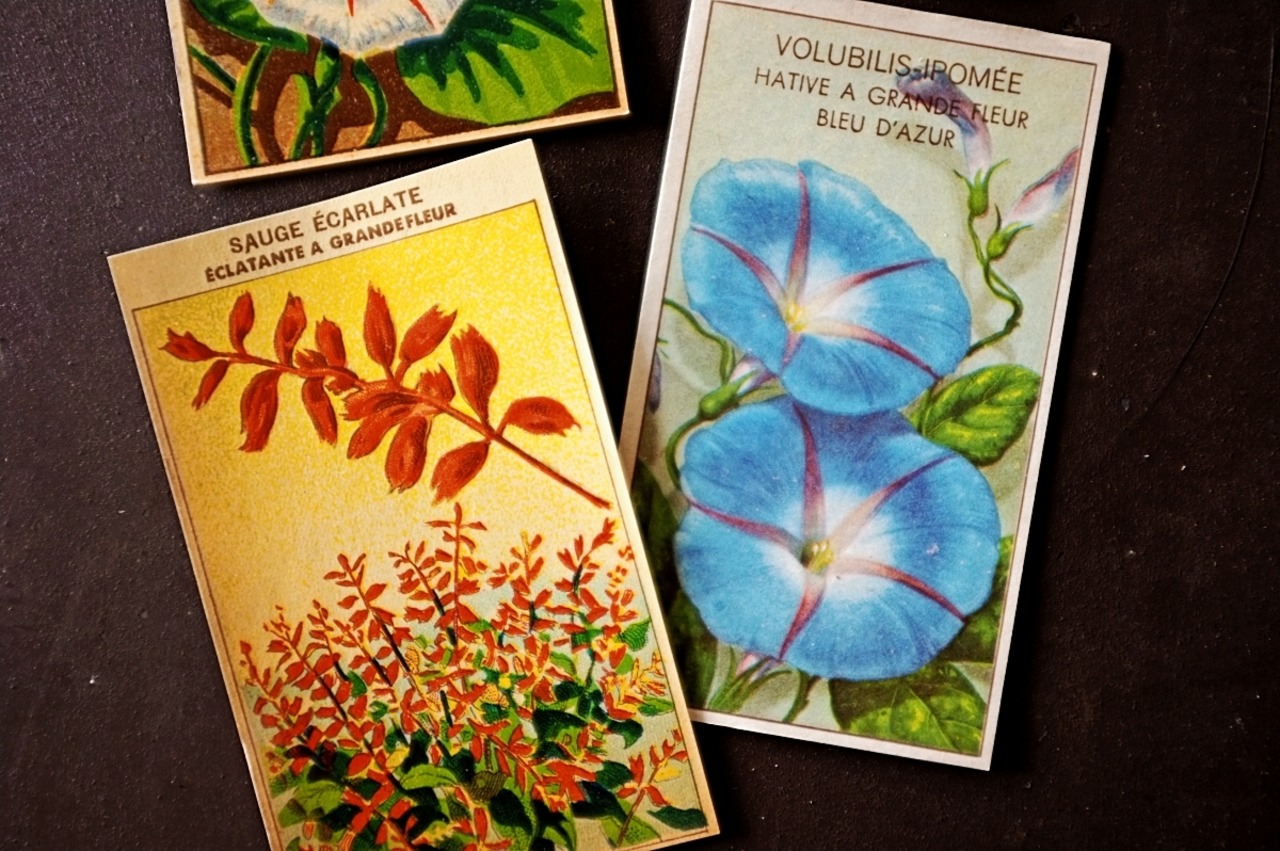 20s フランス 4set 膨満な花々と野菜たち 種子袋用ラベルn アンティーク