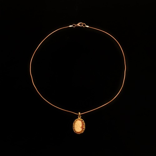 Brown cameo snake chain necklace