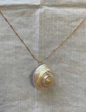White seashell chain necklace