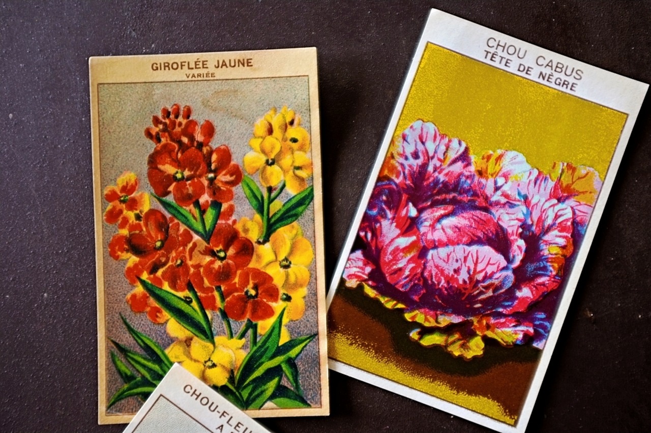 20s フランス 4set 膨満な花々と野菜たち 種子袋用ラベルh アンティーク