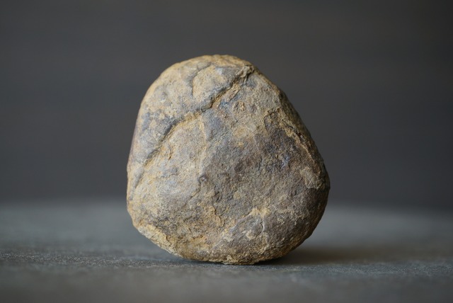 セプタリアン Septarian 1690