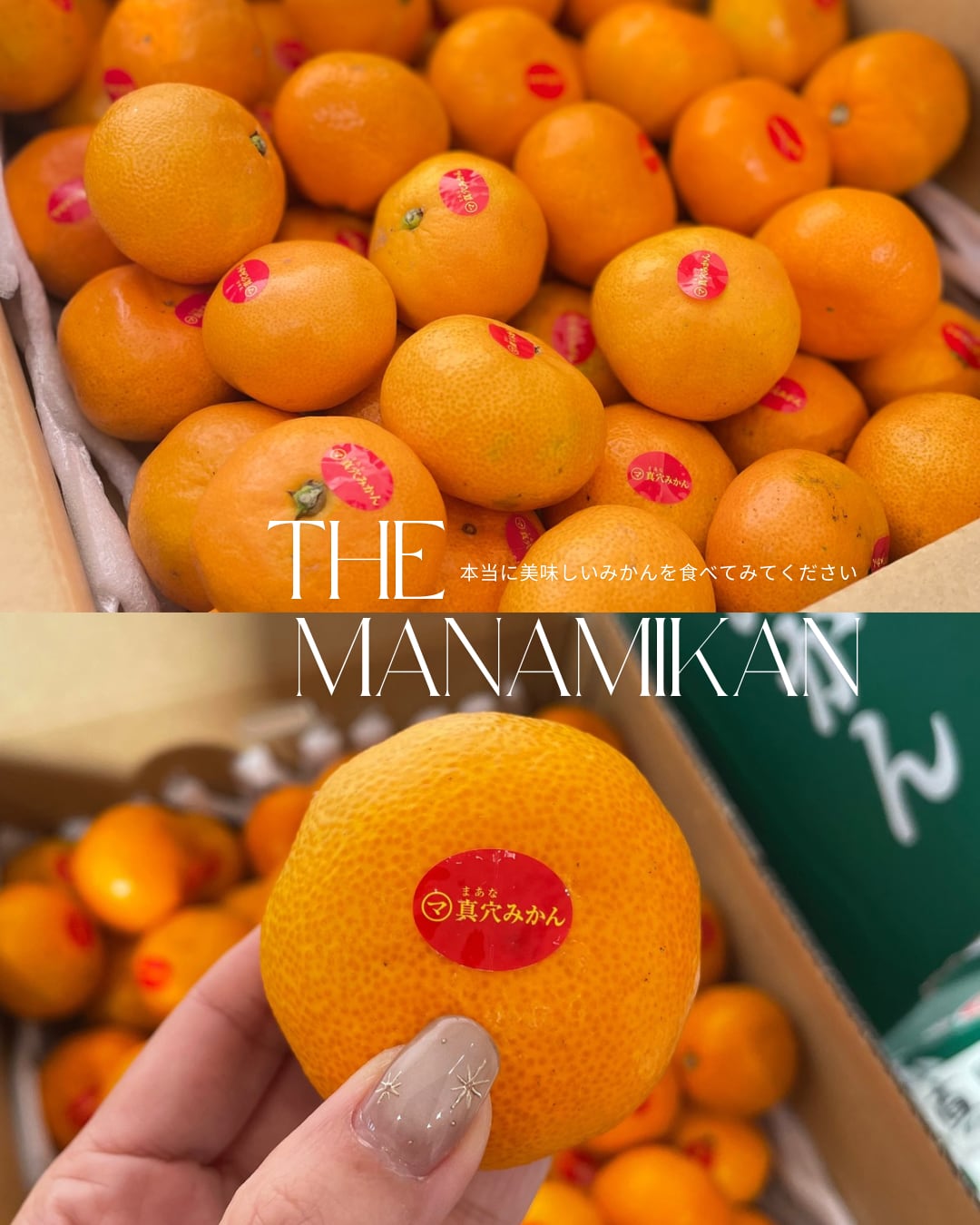 真穴みかん S・M・Lサイズ　約5kg　