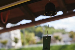 新米!奈良米 5分づき20kg|冷めても美味しい!奈良のヒノヒカリ 2025年 令和7年産