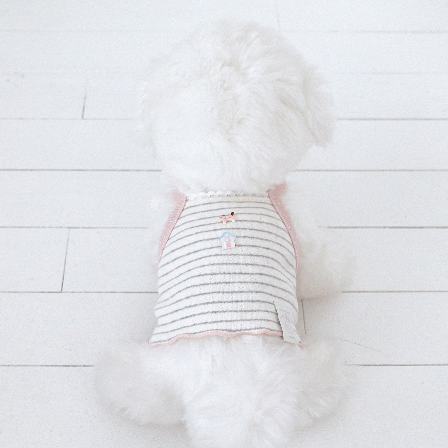 □ near by us | LUANA DOG