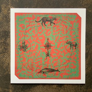 Puma&the dolphin/Indoor routine