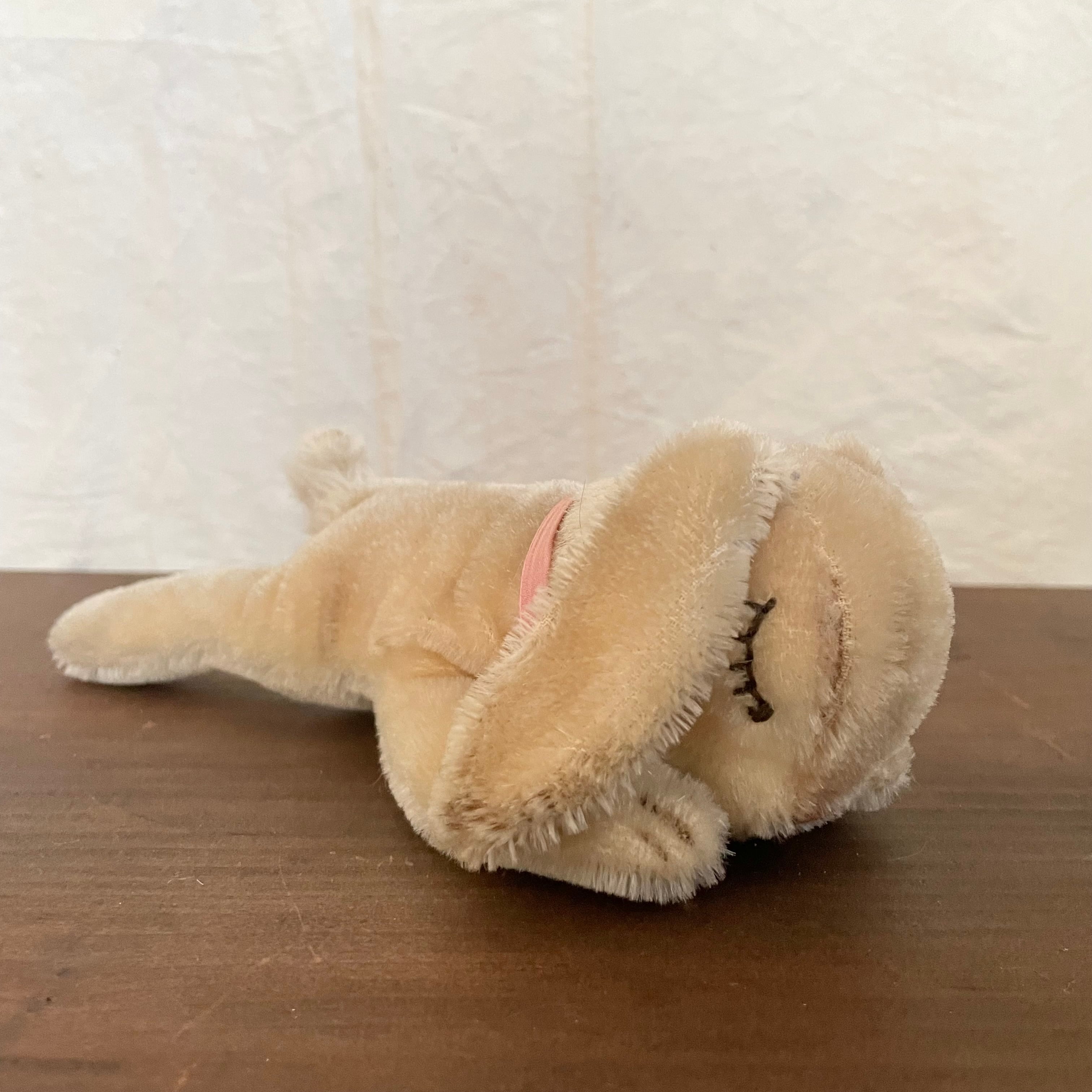 シュタイフのおやすみラビット | tsuitachi craft&brocante