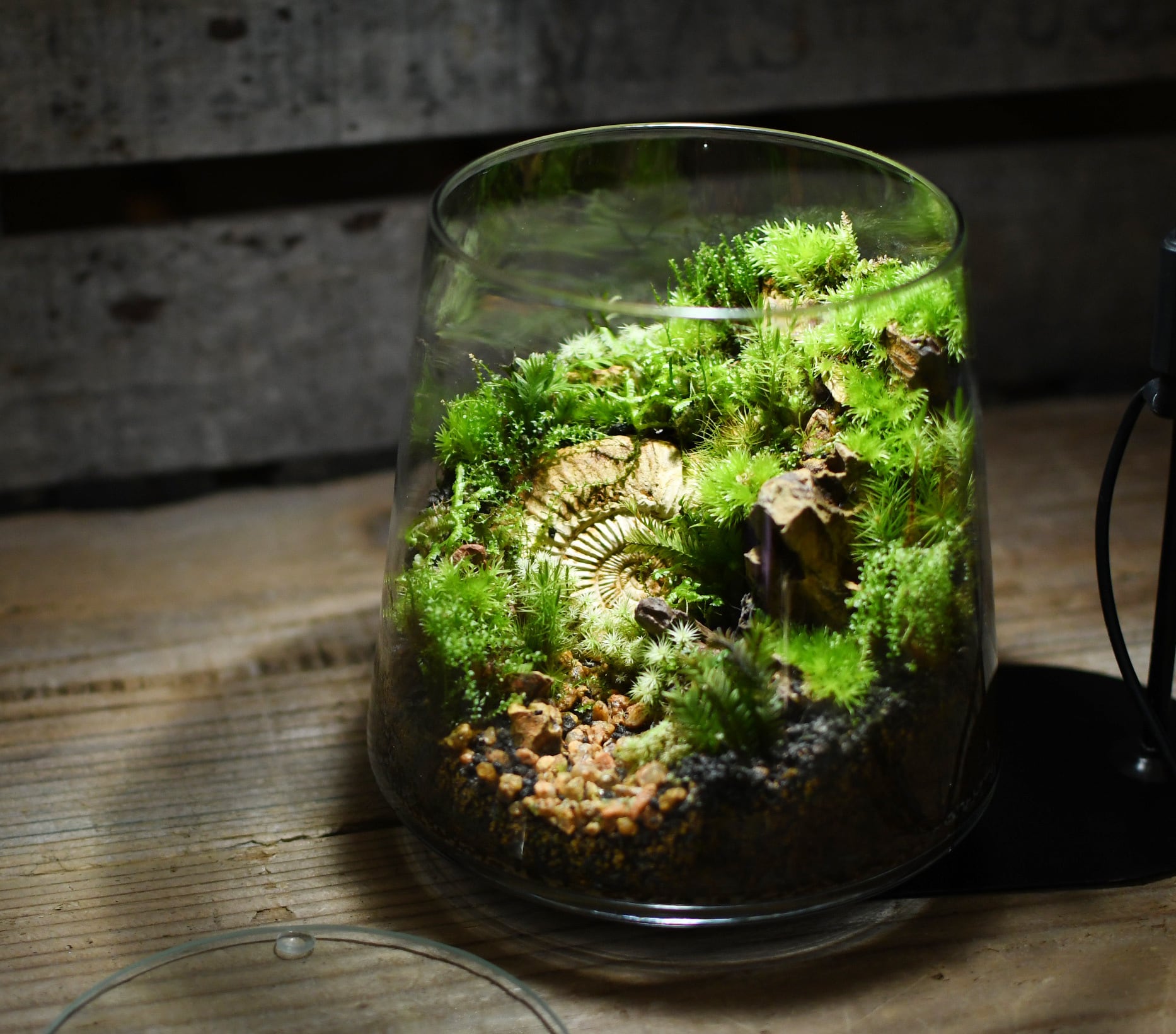 530ab0fad81a87068ab528c0d7c2ba