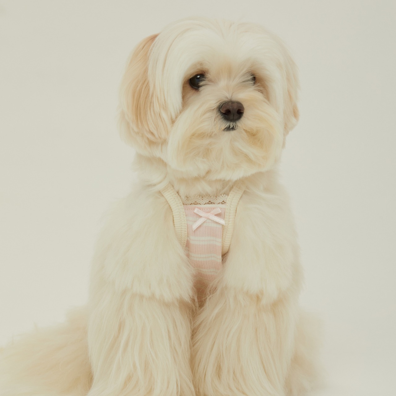 【予約】[ thesallyslaw ] Bunny Top｜Pink Milk Stripe - 3